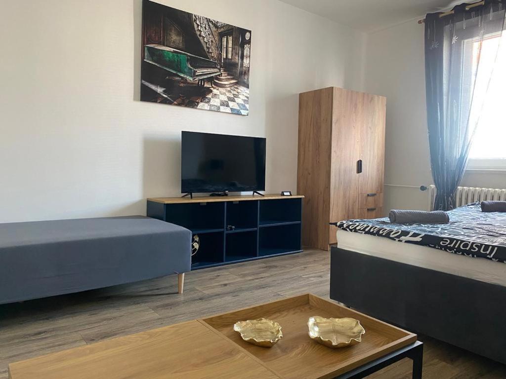 Cerna Ruze - Apartman 4 Πίλζεν Εξωτερικό φωτογραφία