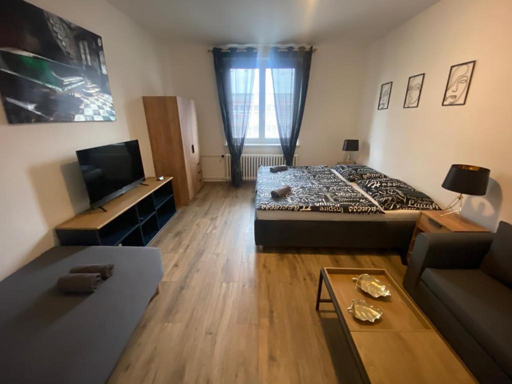 Cerna Ruze - Apartman 4 Πίλζεν Εξωτερικό φωτογραφία