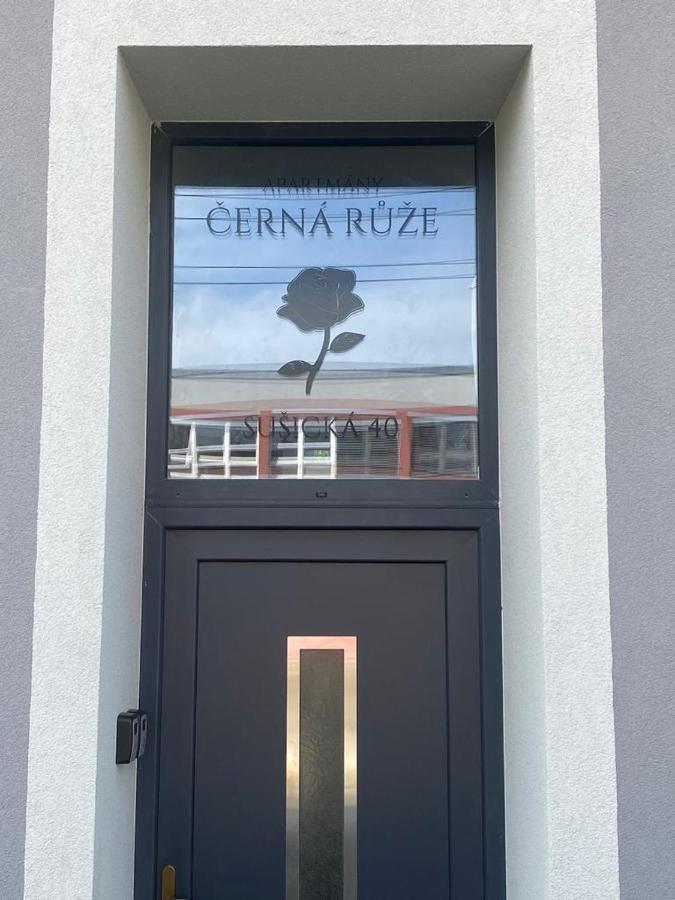 Cerna Ruze - Apartman 4 Πίλζεν Εξωτερικό φωτογραφία